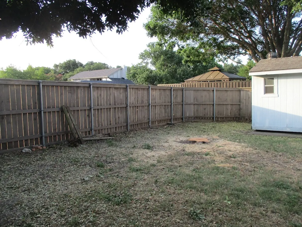 Cleared yard after professional tree removal in Kenmare